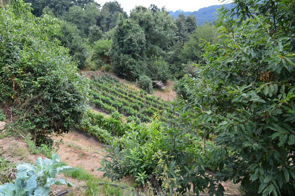 Agriturismo E Turre Serrastretta Esterno foto